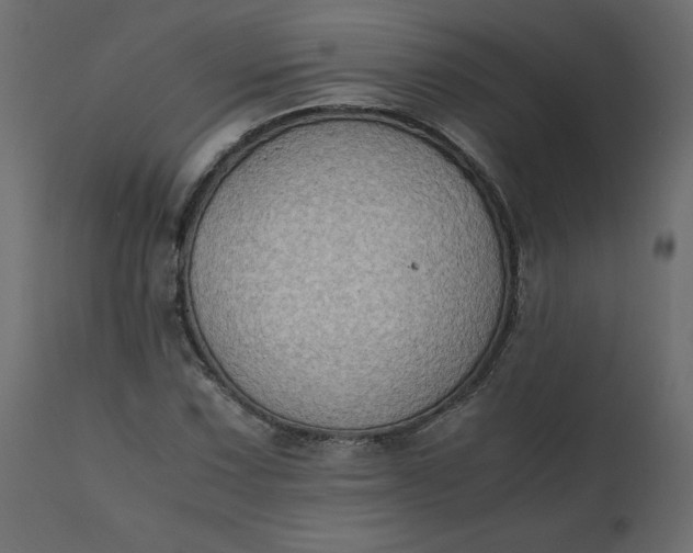 X0000110731067200906261514