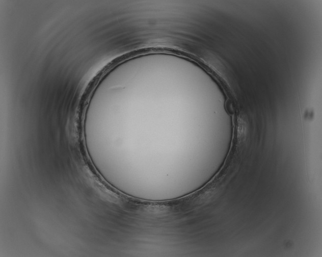 X0000110731068200906261513