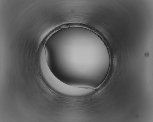 X0000110731069200906261513