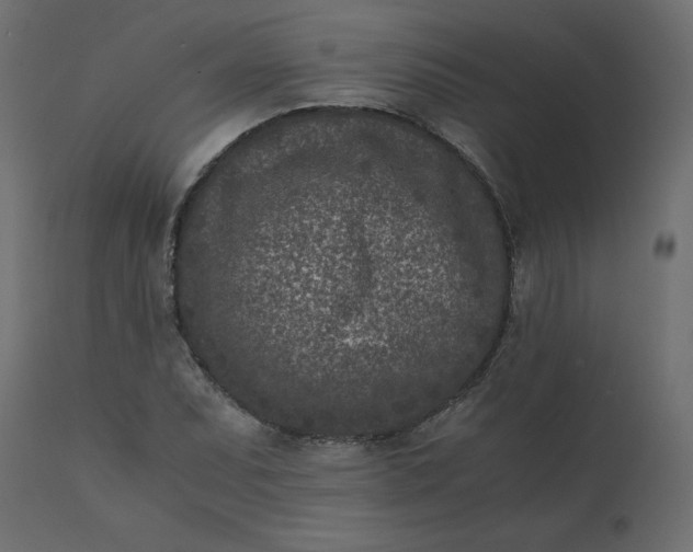 X0000110731071200906261513