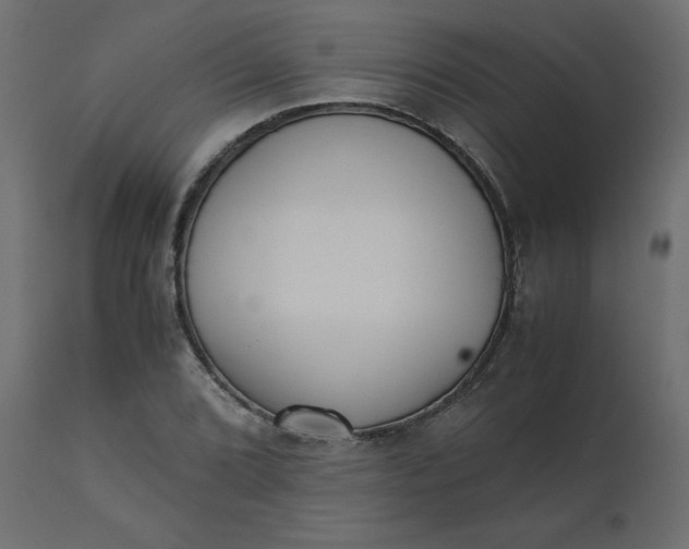 X0000110731072200906261513