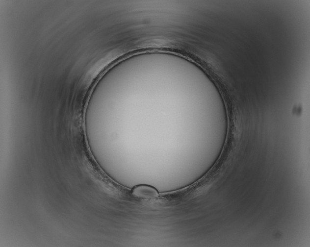 X0000110731073200906261513