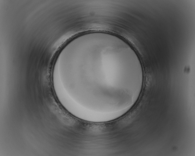 X0000110731074200906261513