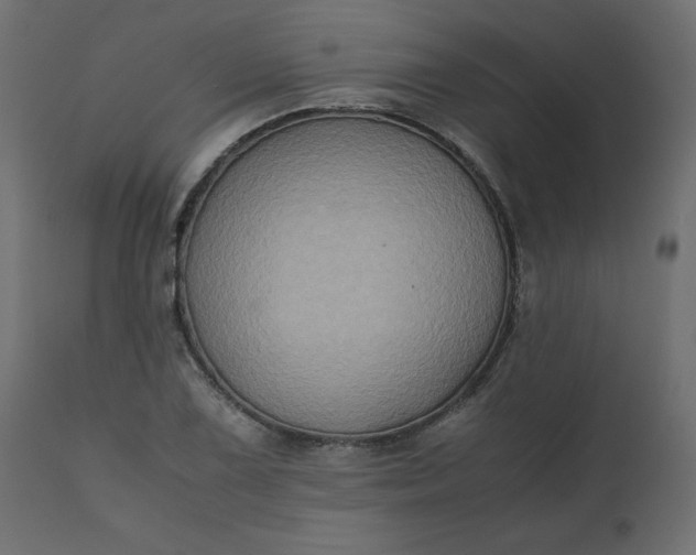 X0000110731075200906261513