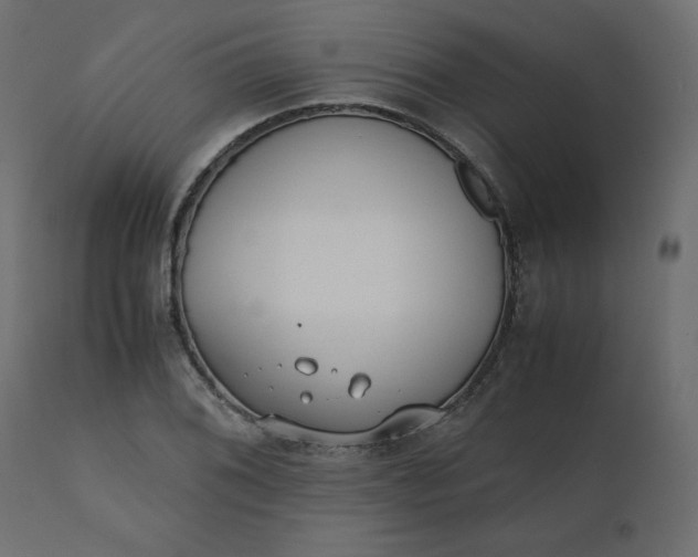 X0000110731076200906261513