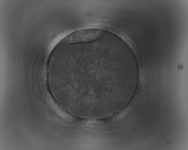 X0000110731077200906261513