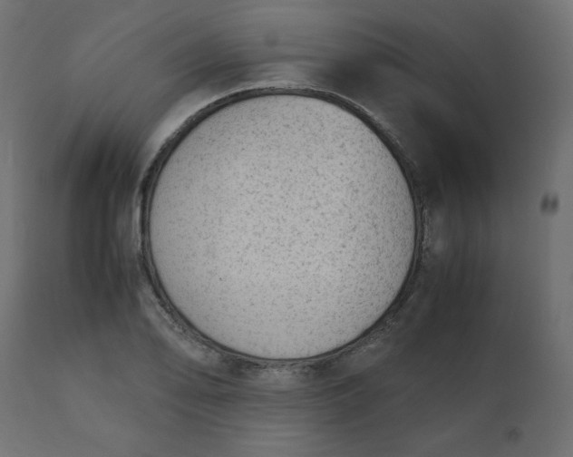 X0000110731078200906261513