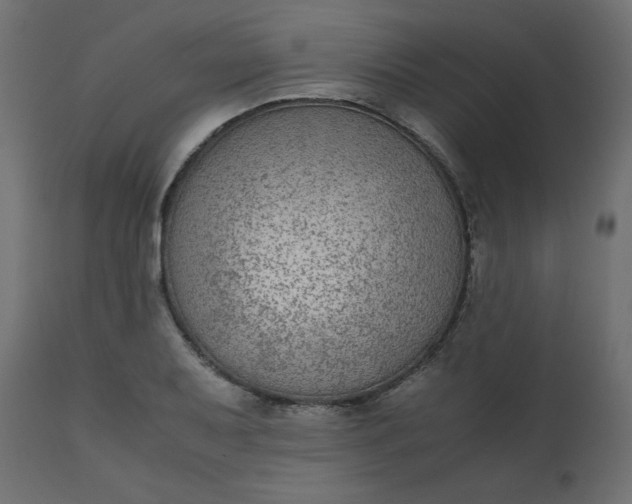 X0000110731079200906261513