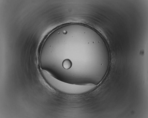 X0000110731080200906261513