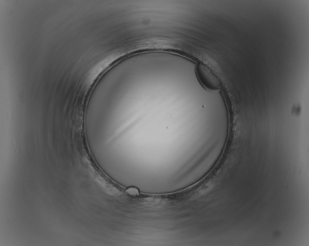 X0000110731081200906261513