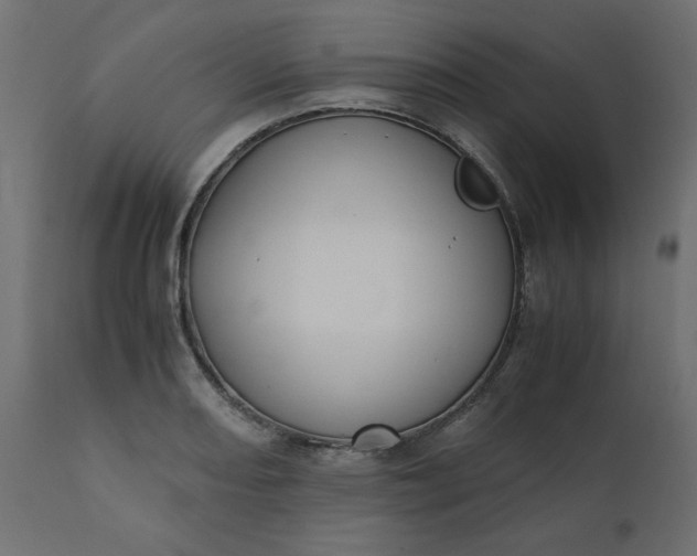 X0000110731082200906261513