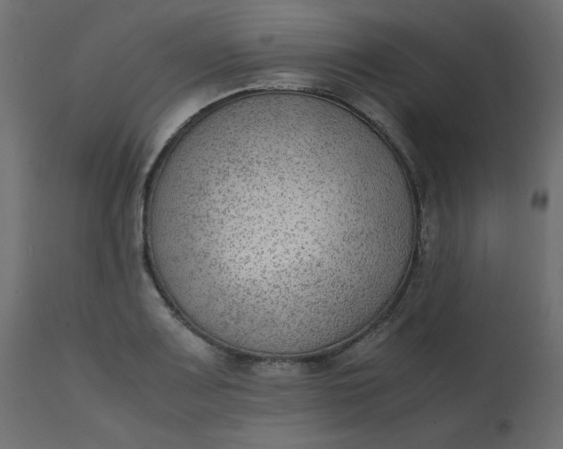 X0000110731083200906261513