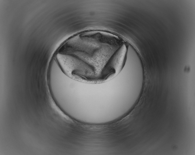 X0000110731084200906261513