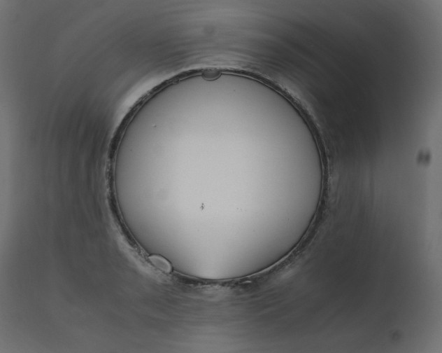 X0000110731085200906261513