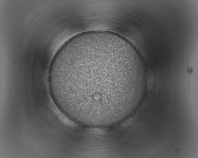 X0000110731086200906261513