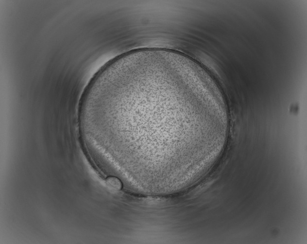 X0000110731087200906261513