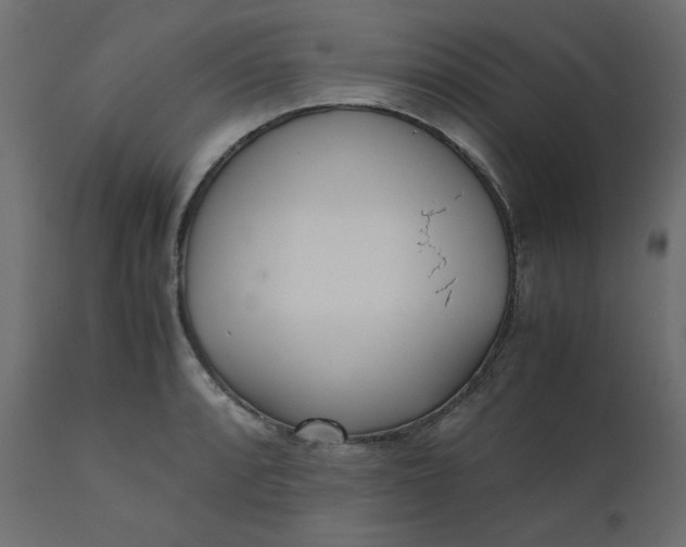 X0000110731088200906261513