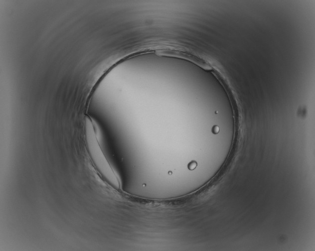 X0000110731089200906261513