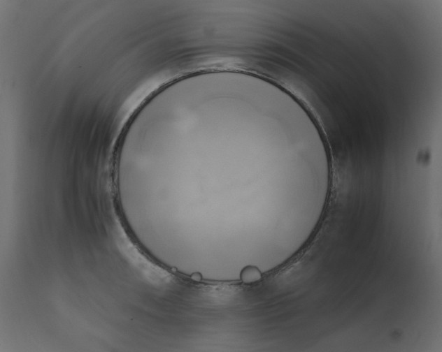 X0000110731090200906261513