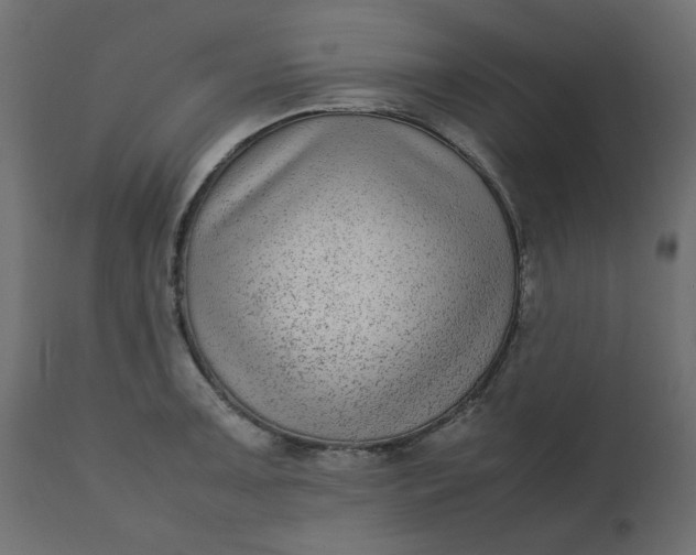 X0000110731091200906261513