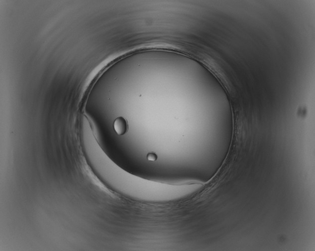 X0000110731092200906261513