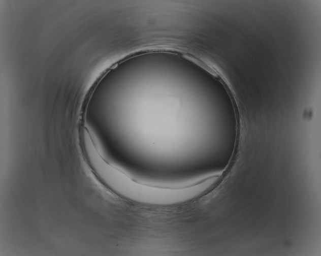 X0000110731093200906261513