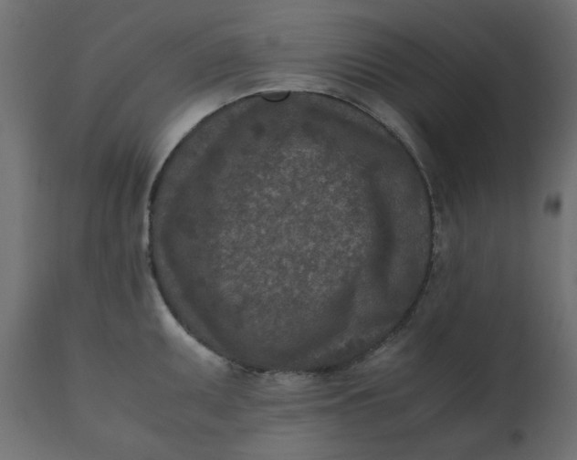 X0000110731095200906261513