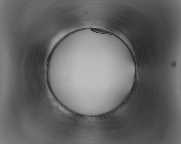 X0000110731096200906261513