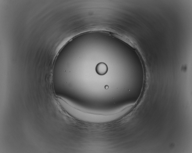 X0000110731097200906261513