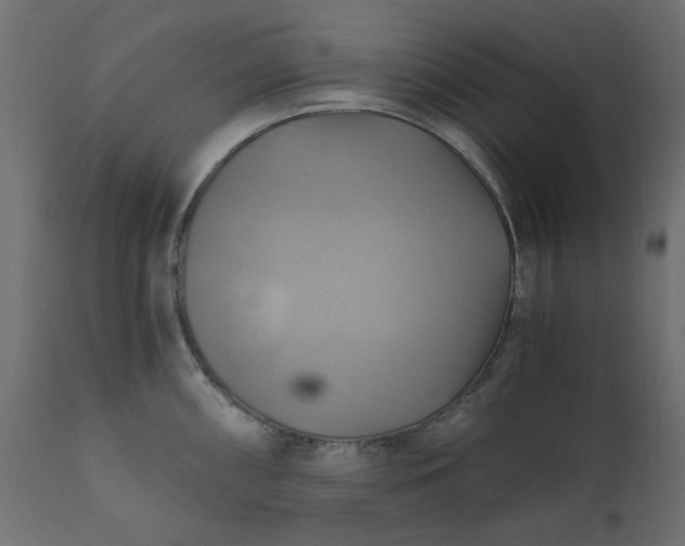 X0000110731098200906261513