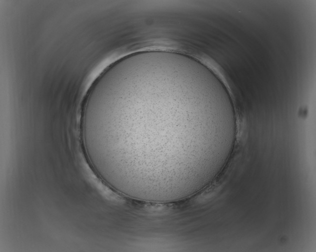 X0000110731099200906261513