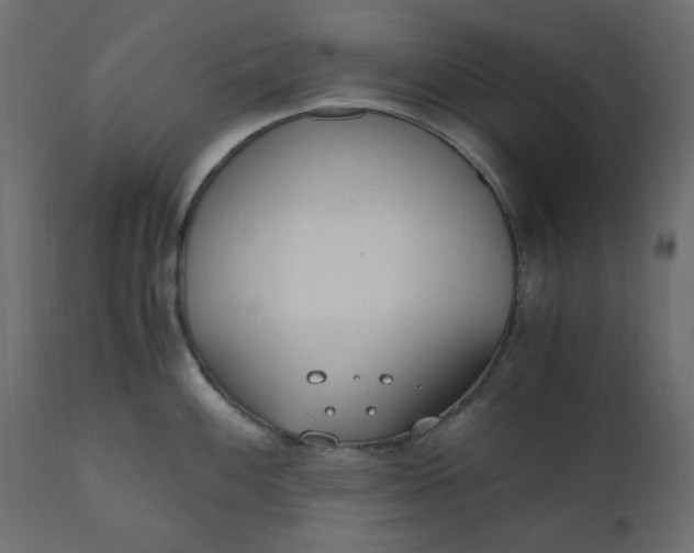 X0000110731100200906261513