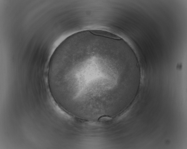 X0000110731102200906261513