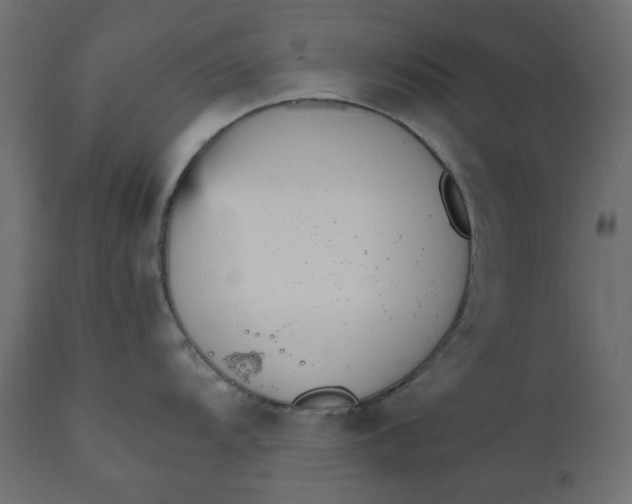 X0000110731104200906261513