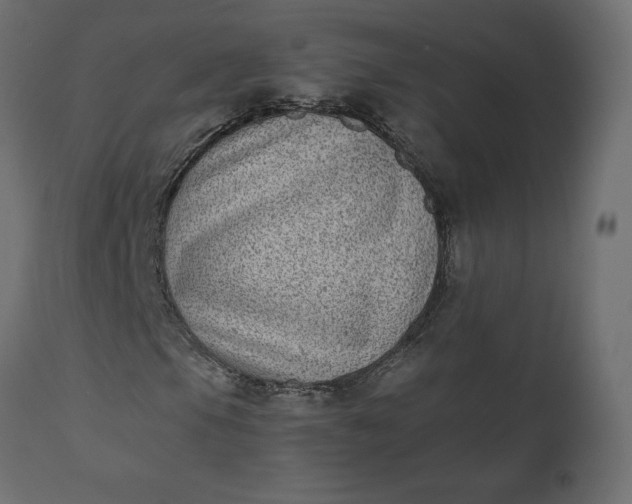 X0000110731105200906261512