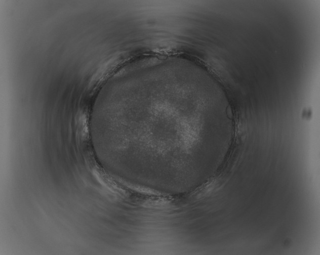 X0000110731106200906261512