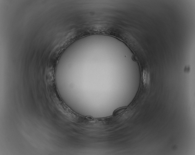 X0000110731107200906261512