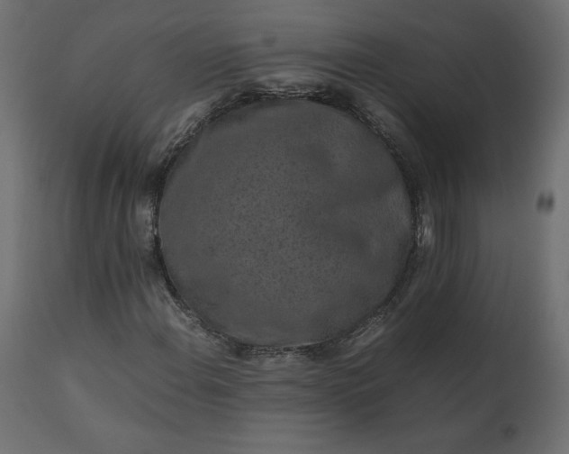 X0000110731108200906261512