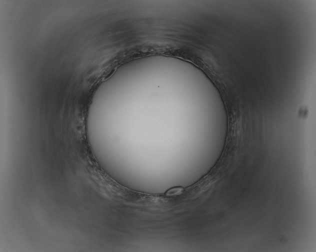 X0000110731109200906261512