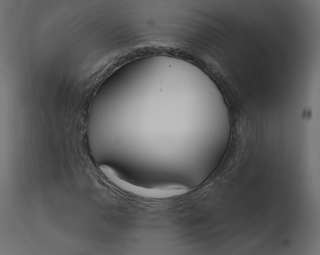 X0000110731110200906261512