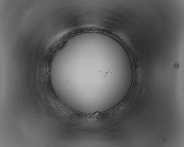 X0000110731111200906261512