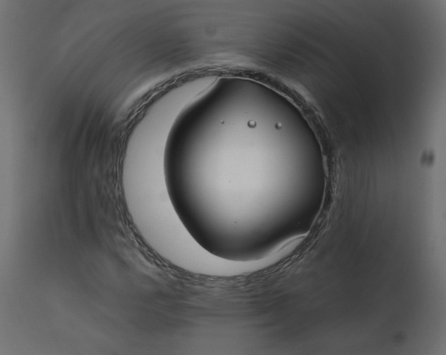 X0000110731112200906261512