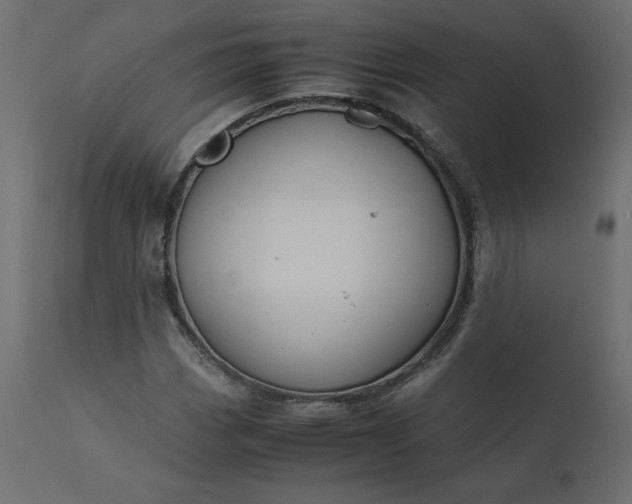 X0000110731113200906261512