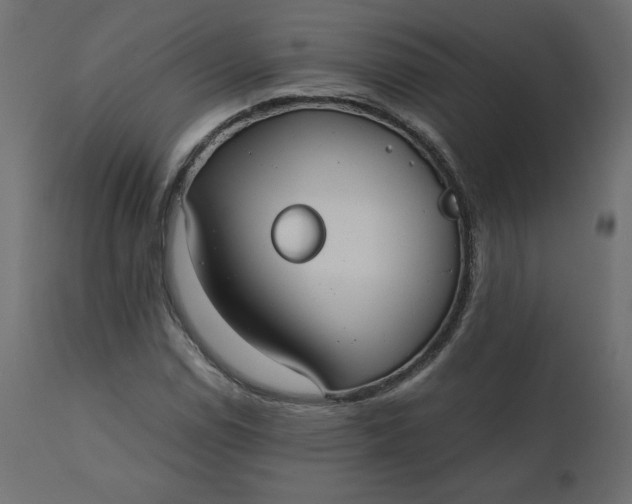 X0000110731114200906261512