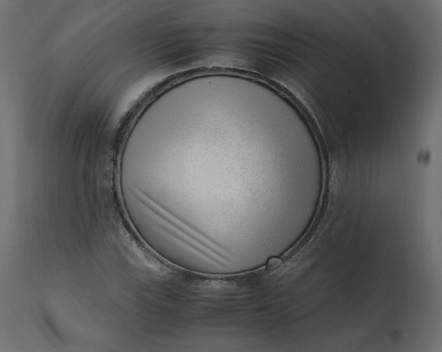 X0000110731115200906261512