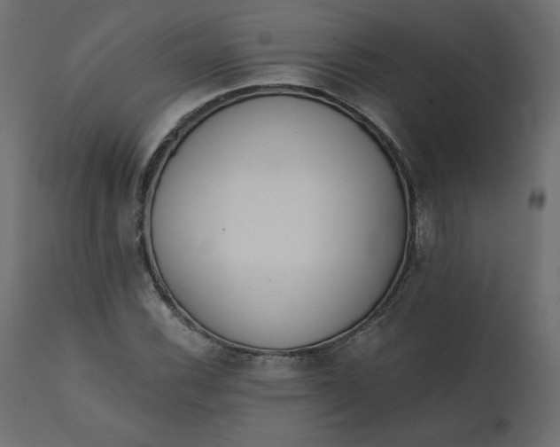 X0000110731116200906261512