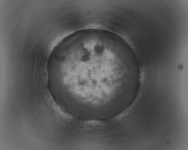 X0000110731117200906261512