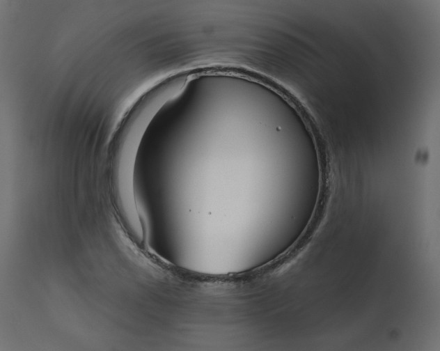 X0000110731118200906261512