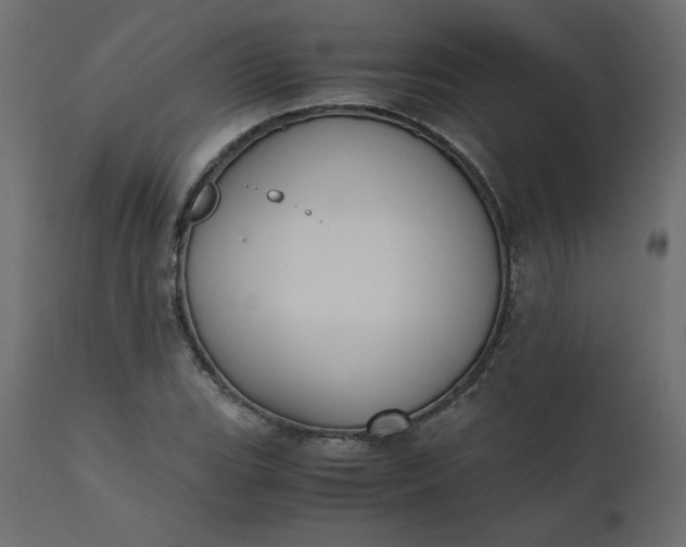 X0000110731119200906261512