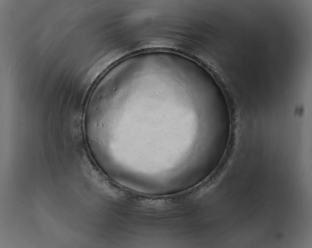 X0000110731121200906261512